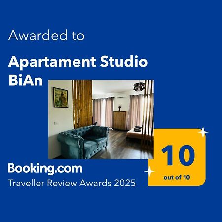 Apartament Studio Bian Тімішоара Екстер'єр фото