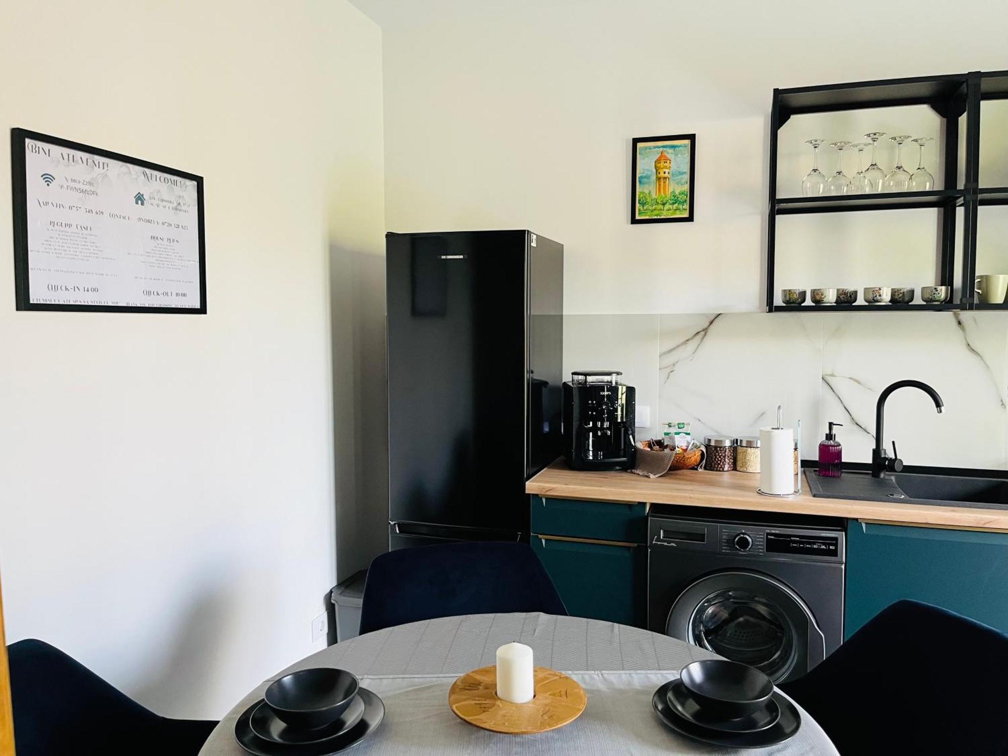 Apartament Studio Bian Тімішоара Екстер'єр фото