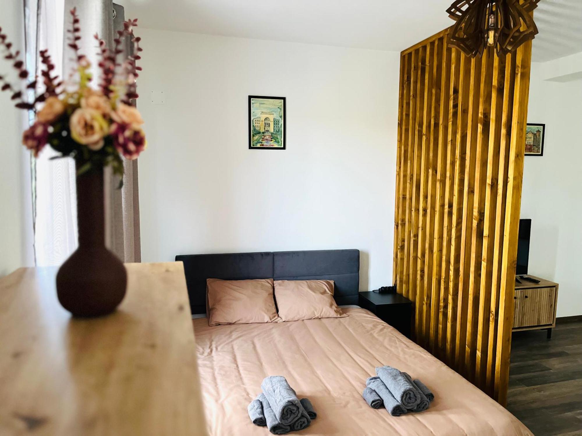 Apartament Studio Bian Тімішоара Екстер'єр фото