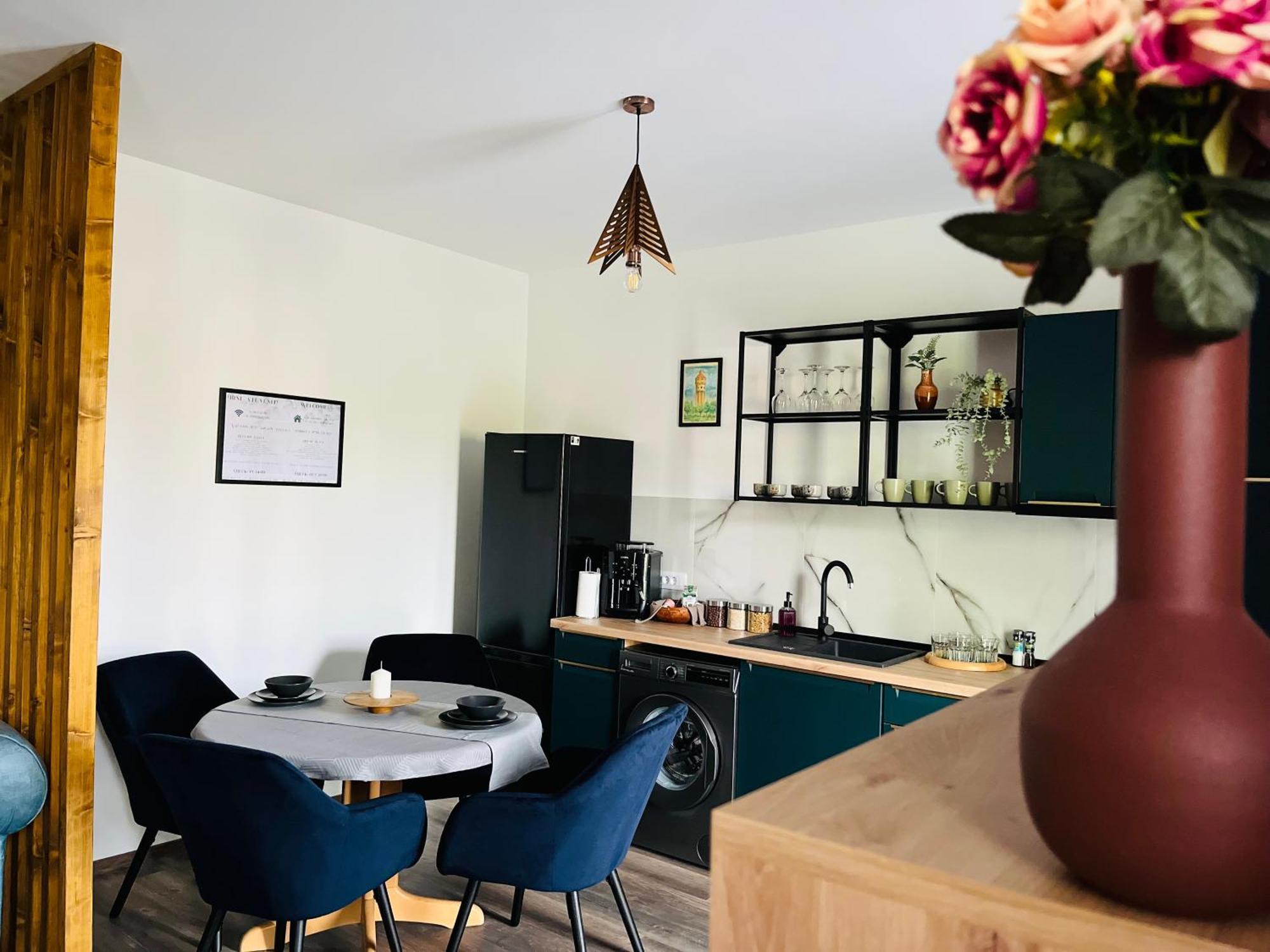 Apartament Studio Bian Тімішоара Екстер'єр фото